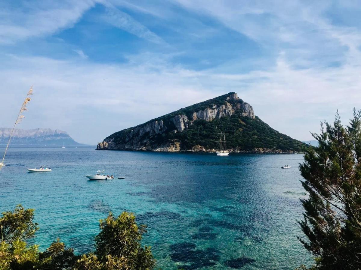 La Vecchia Posta B&B Calangianus 外观 照片
